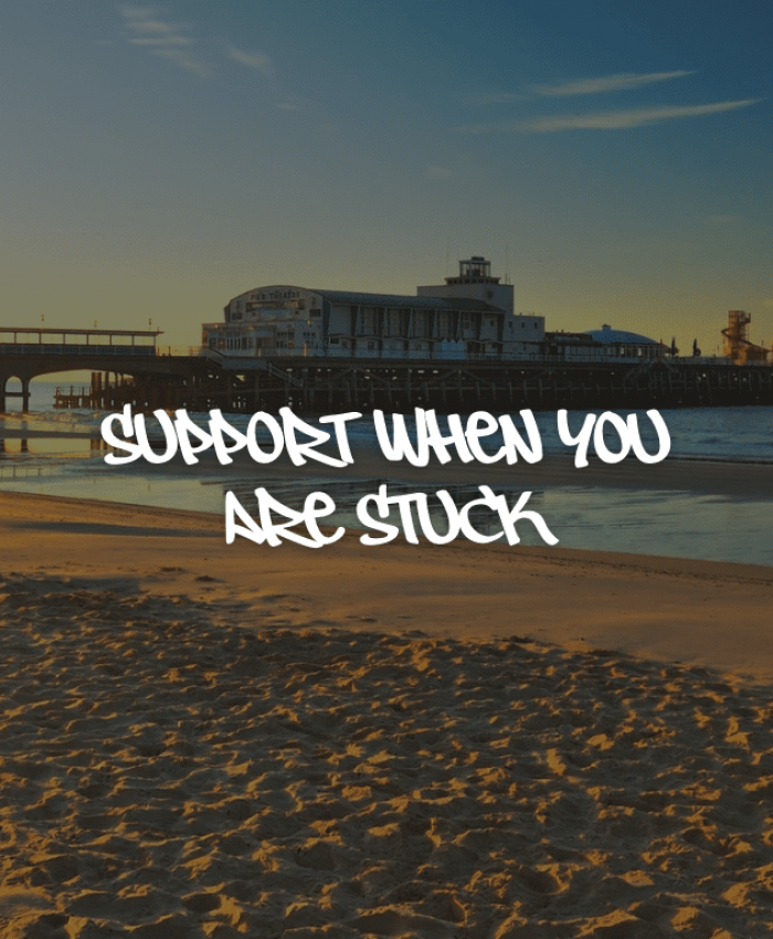 Social Media Support for Small Businesses in BCP